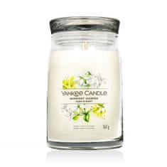 Yankee Candle Signature Midnight Jasmine 567 g dišeča svečka