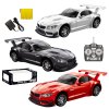 Denis R/C 1:14 BMW Z4 GT3