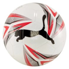 Puma Žoge nogometni čevlji 4 Big Cat