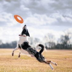 sarcia.eu Pomaračasti aportni disk za psa, frisbee, igrača za metanje za psa 25,5 cm 