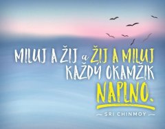 Magnet za hladilnik - Ljubiti in živeti in živeti in živeti in ljubiti vsak trenutek na polno