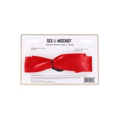 Sportsheets Gag Sportsheets - S&amp;M Amor z rdečim svilenim trakom