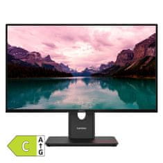 Lenovo ThinkVision T24-40 60,45cm (23,8") FHD IPS DP/HDMI/VGA monitor