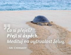 Magnet za hladilnik - Kaj želite? Želim si uspeha. Razmišljajte o vztrajnosti želve.
