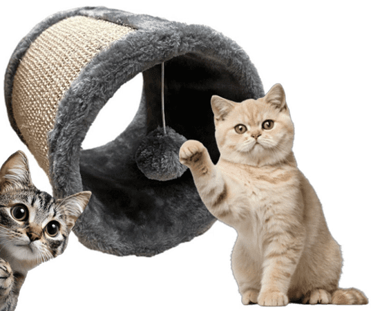  Pet Toys praskalnik za mačke, žoga, 21x19 cm 