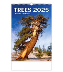 Stenski koledar 2025 - Drevesa / Bäume / Trees