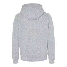 Chiemsee Moški Hoodie Noce Loredo, Gray, S