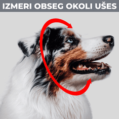 BOLLSEN Glušniki za pse Dog+, XS