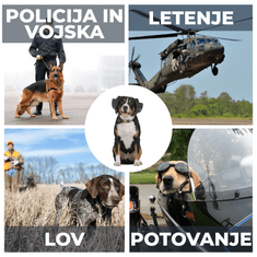 BOLLSEN Glušniki za pse Dog+, XS