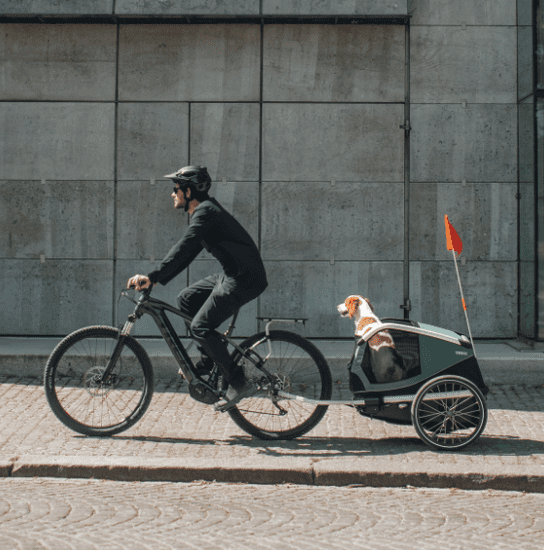 Thule Bexey Hazy kletka za pse, L, zelena
