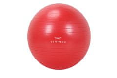 TERINDA Žoga za gimnastiko 45CM 1423-03