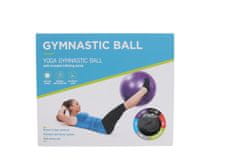 TERINDA Žoga za gimnastiko 55CM 1424-01