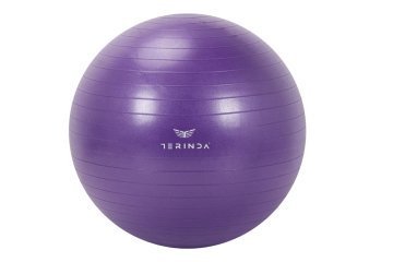 TERINDA Žoga za gimnastiko 65CM 1423-08