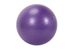 TERINDA Žoga za gimnastiko 65CM 1423-08