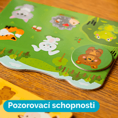 Far Far Land Lotto kartice za dekleta
