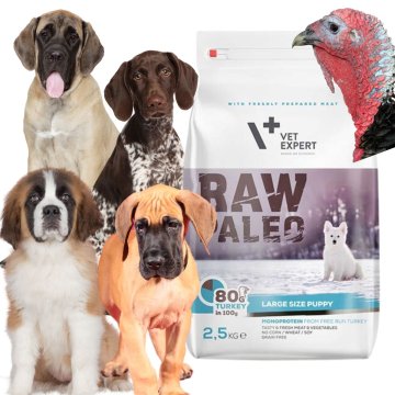 shumee RAW Paleo TURKEY hrana za mladiče VELIKIH pasem