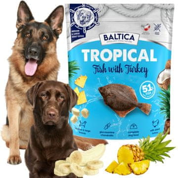 shumee Hrana BALTICA TROPICAL za srednje velike in velike pse