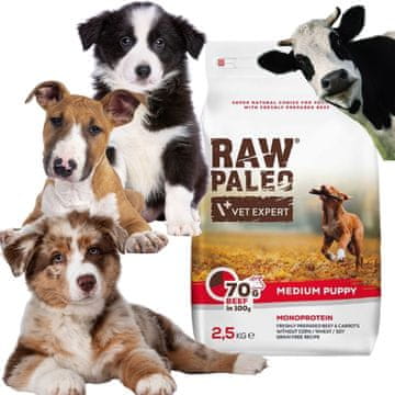 shumee RAW Paleo BEEF hrana za mladiče srednjih pasem