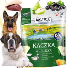 shumee BALTICA hrana za pse z račjo hruško, hipoalergena, 1 kg
