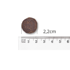 shumee BALTICA HIPOALERGENA hipoalergena hrana za pse velikih in velikih pasem 1 kg