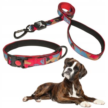 shumee UDOBNA NASTAVLJIVA PASJA OVRATNICA + POVODEC, podložena z neoprenom, s sponko