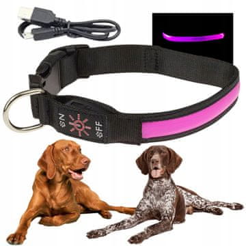 shumee LED ovratnica za pse, ki sveti v temi, polni se preko USB-ja, D 38-50 cm