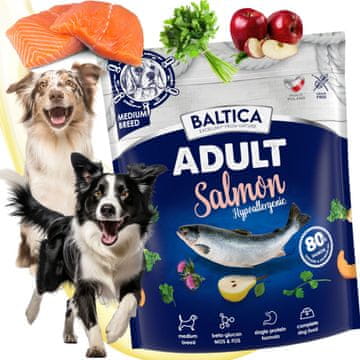shumee BALTICA HIPOALERGENA hipoalergena hrana za pse srednje velikih pasem 1 kg