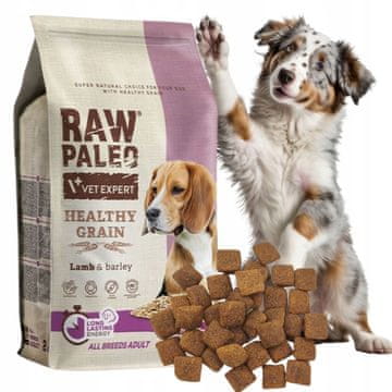 shumee RAW Paleo ZDRAVA ŽITNA hrana za odrasle pse ječmen z JAGNJETINO 2kg