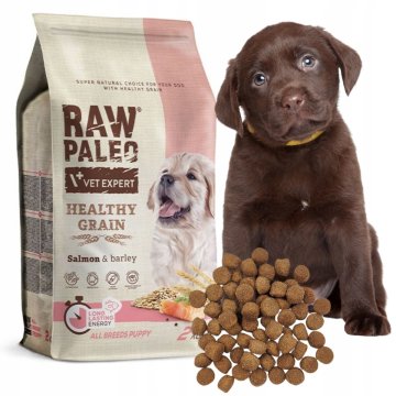 shumee RAW Paleo HEALTHLY GRAIN hrana za mladiče ječmen z LOSOSOM 2kg