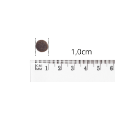 shumee BALTICA HIPOALERGENA hipoalergena hrana za pse majhnih in mini pasem 1 kg