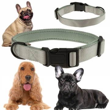 shumee Pasja ovratnica s trakom, podložena z NEOPRENOM M