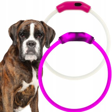 shumee USB polnilna LED pasja ovratnica z lučko, 55 cm