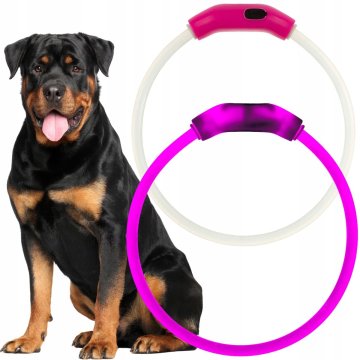 shumee USB polnilna LED pasja ovratnica z lučko, 70 cm