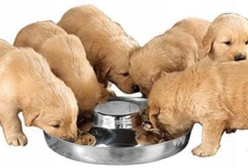 shumee Posoda za mladičke za vzgojo stelje iz jekla L