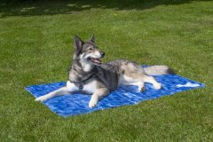 shumee Premium COOL MAT hladilna podloga za pse 30x40 toplotna