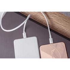 FORCELL USB C kabel za Lightning Forcell F-Energy MFi PD 3A 30W 1 m C901 bel