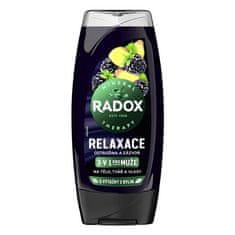 Radox Gel za prhanje Men 3v1-ruž. in ingver, 225ml