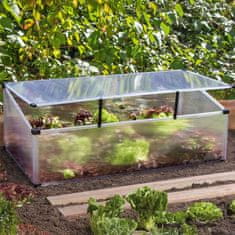 nabbi Vrtni rastlinjak (rastlinjak) Lensar 100x60x30 cm - prozoren