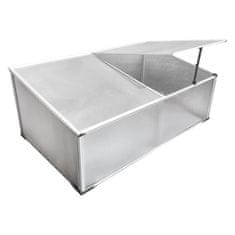 nabbi Vrtni rastlinjak (rastlinjak) Lensar 100x60x30 cm - prozoren
