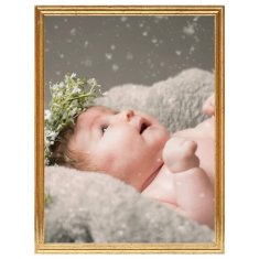 Vidaxl Foto okvirji 5 kosov namiznii zlati 21x29,7 cm MDF