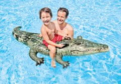 57551NP Napihljiv krokodil z ročaji