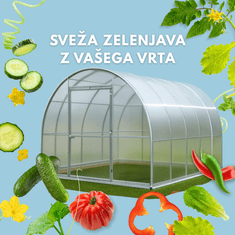 tim-dam Rastlinjak 2,4x10m, Polikarbonat 4mm.