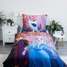 Disney DISNEY Frozen DVOJNA STRAN, otroška posteljnina, zadrga, 100% BOMBAŽ 140x200+70x90 cm OEKO-TEX