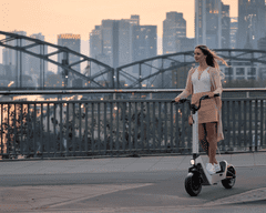 STREETBOOSTER Pollux - srebrno zelen