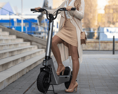 STREETBOOSTER Pollux - srebrn