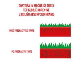 Scheppach Bencinski prezračevalnik trate SC55P | 40cm | 5,4 KM