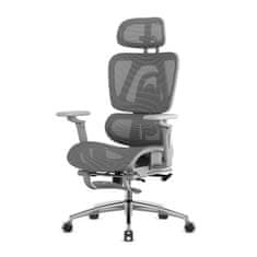 Mark Adler Ergonomski vrtljivi pisarniški stol Expert 7.9 Sivi