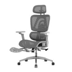 Mark Adler Ergonomski vrtljivi pisarniški stol Expert 7.9 Sivi