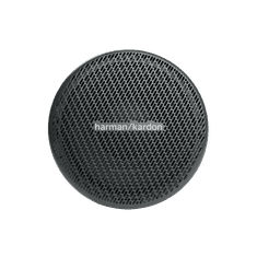 HARMAN/KARDON FLOW 300S avtozvočniki