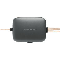 HARMAN/KARDON FLOW 600CF avtozvočniki